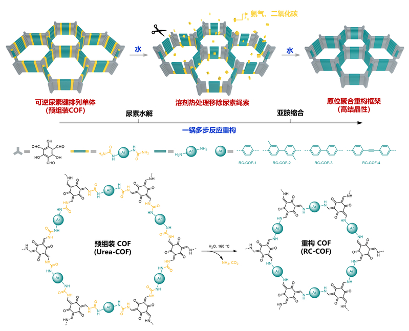 353efc13-469f-4713-bec7-cb799c03b0e5