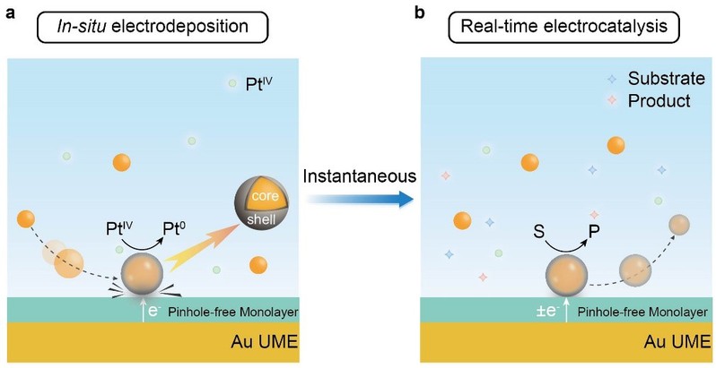 70e7be9c-8224-40d8-9175-93d03080d3f8