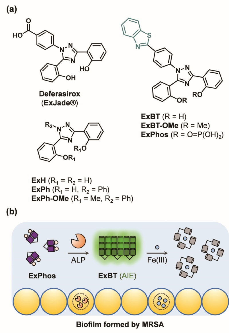 731e8d48-2ef5-4559-85b0-8fca2a474a8d
