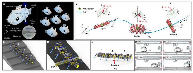54ba7dc9-6d94-43e5-ac98-817ccc9e6abb