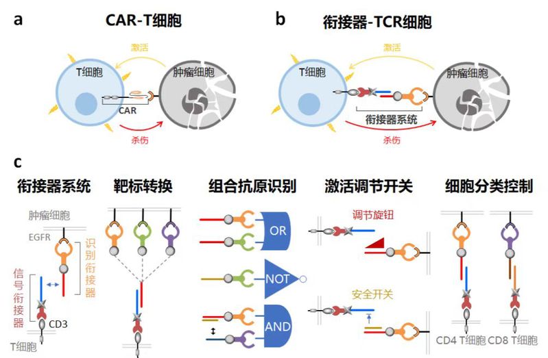 dd79db02-56fe-4acd-9a3e-487ab227b2c6