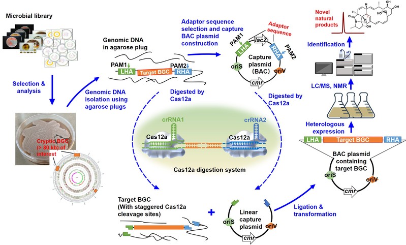 07f46257-0628-4c1b-a1bf-88535badda41