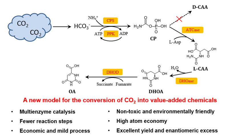 17128c86-3bca-4ab6-9db7-b93360a8b2aa