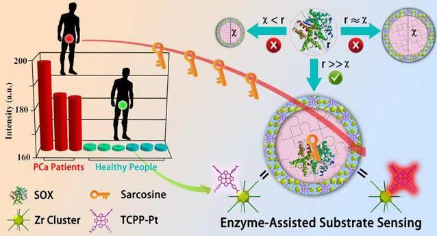 d35177ad-da88-4fe0-a9b4-f7621c53b003 d35177ad-da88-4fe0-a9b4-f7621c53b003