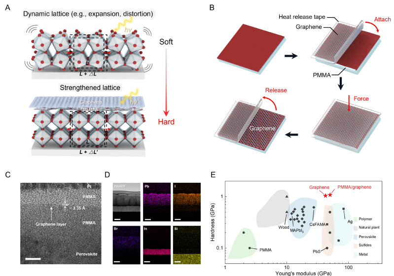a57220e7-439f-4ffc-8311-03becafa979e