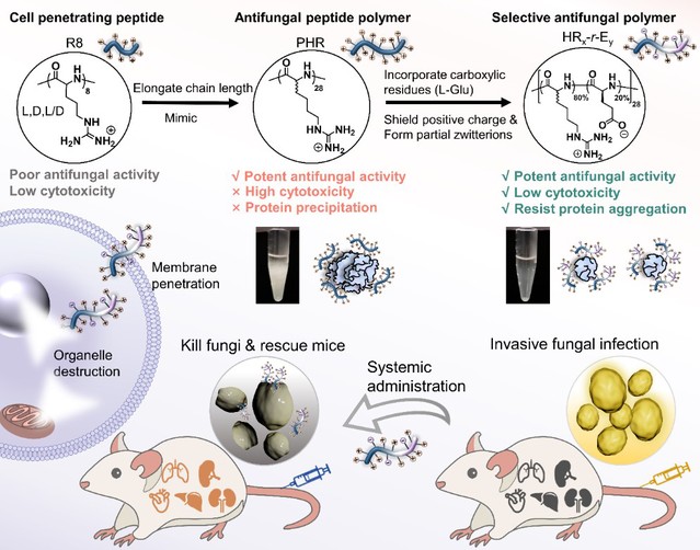 5b53ddcb-fad9-4a08-9423-0c42d8754a08