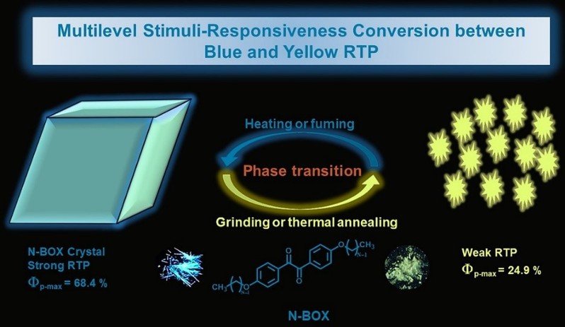 3cb40636-c4ba-4625-a59c-c8797cc1fa92