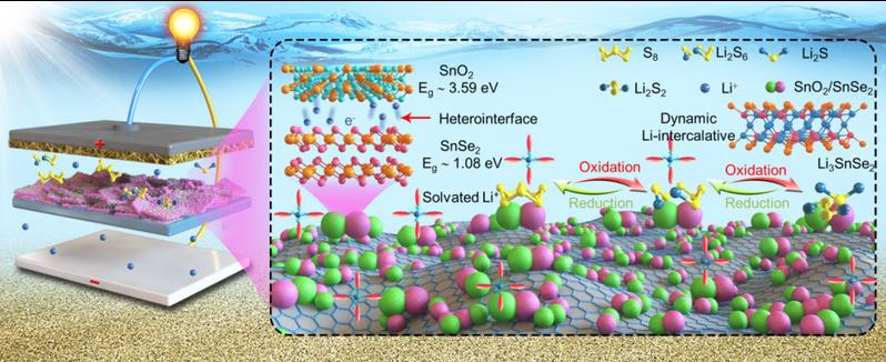 bc3b14a7-d517-4cb2-9543-438e65090a44 bc3b14a7-d517-4cb2-9543-438e65090a44