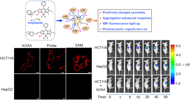a8dcae2c-d4f8-4085-8d4a-aa38e33fe75b
