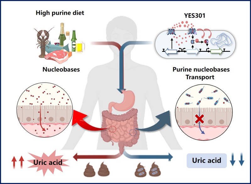 df0f82b2-5de6-47e1-97c0-7a78d4e86b37