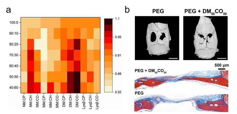 00327df2-d1ca-459d-8bfc-f6c687ec68cc