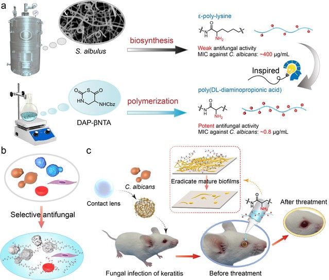 780d269a-56f1-4725-98ae-1bf0ad880e3b