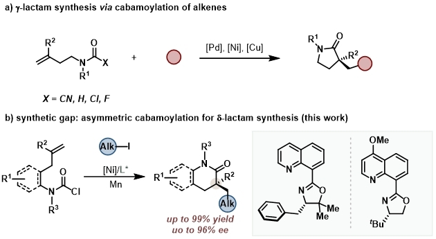 28300b52-9612-40ec-b704-f8b811da864c