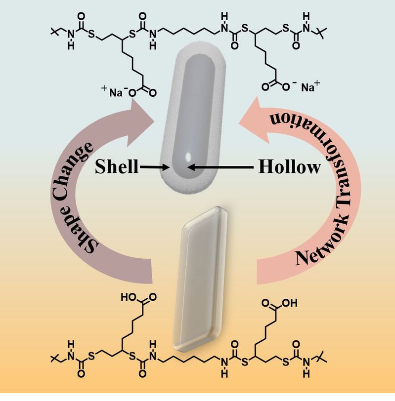 64408aa7-f617-49aa-9f02-153e7ca5b96b