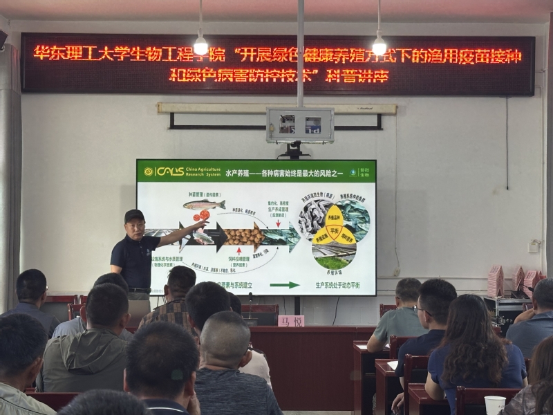 ec8deb20-1ee9-4b00-bd3e-9a2014413b7f