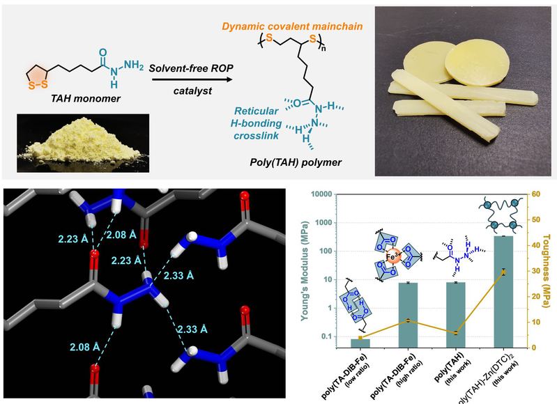 08de8b93-a1d5-4432-94f1-b13676a2b7f4