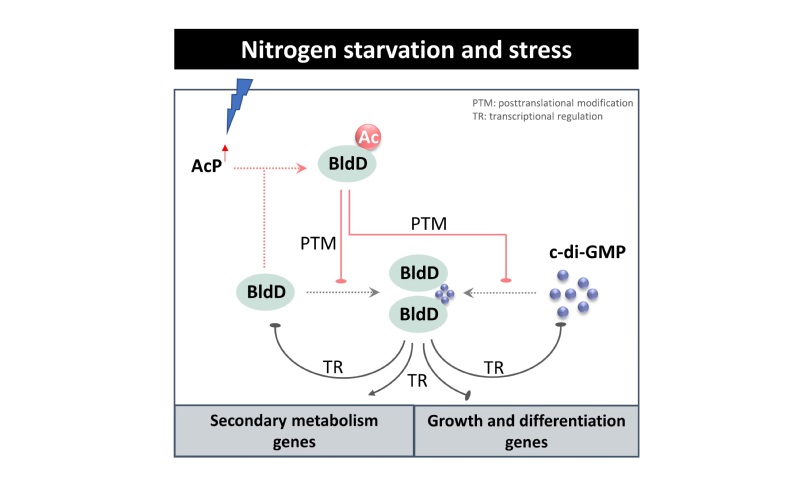 f636a100-aa49-4de8-b036-d5bfb4270b35
