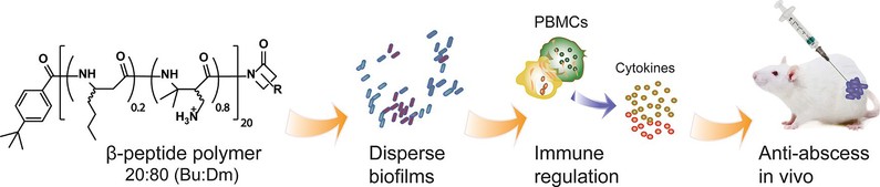 216dce9e-956d-452b-b401-75131314473d