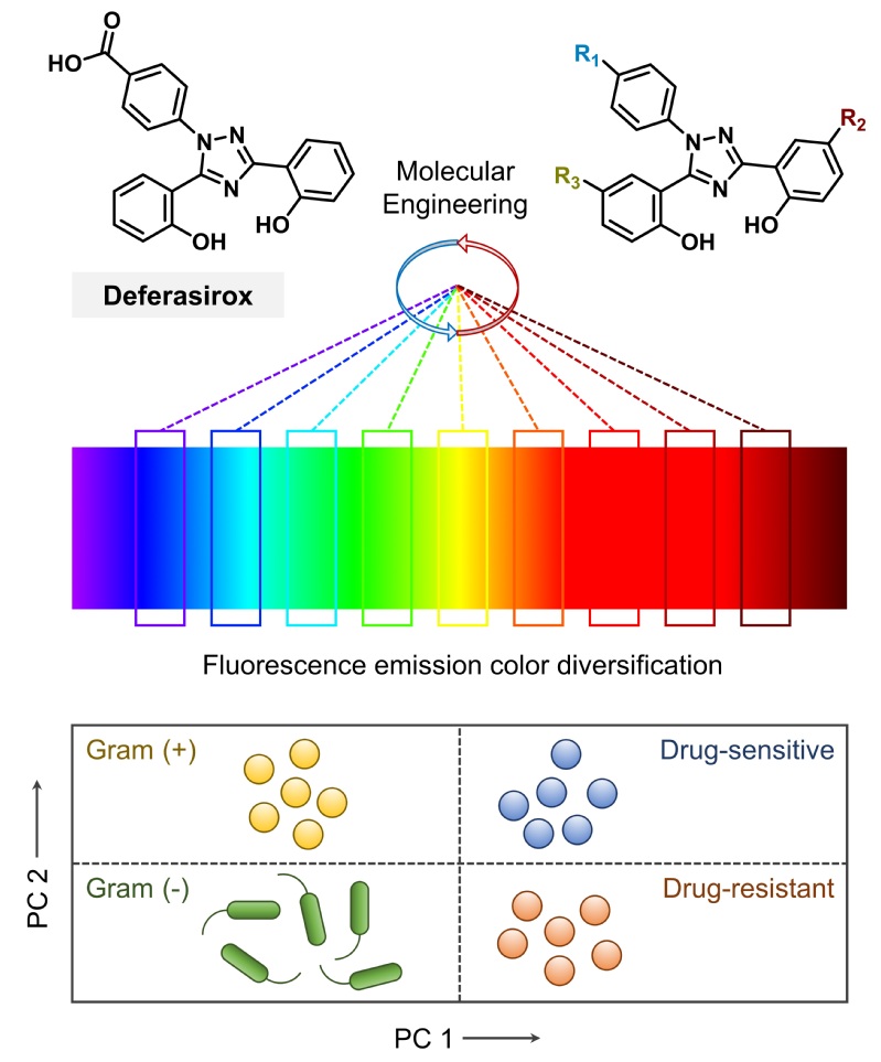 366c962a-90af-498c-9ca6-c071d374d41f
