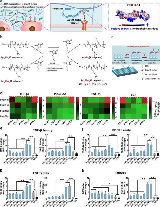 64ee917a-9c30-48d8-bc38-adcac01fc0c8
