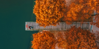 2b0f7838-8351-49ea-9e49-dbc10f37cd70