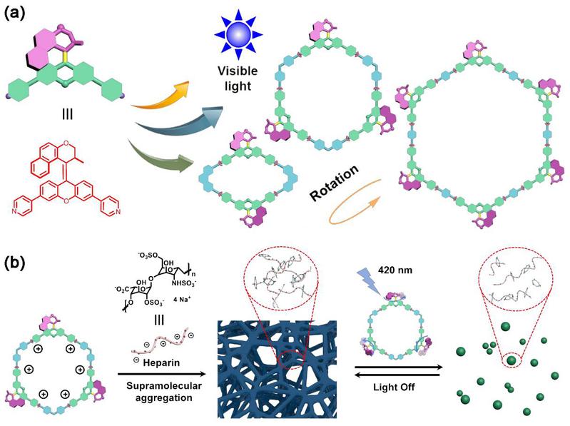 154c2fcd-b593-45cc-badb-2dd1610a7e57